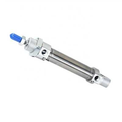 DSNU Series Rustfri Stål Mini Cylinder